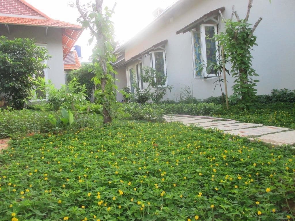 דואונג דונג Manh Duyen Garden Homestay מראה חיצוני תמונה